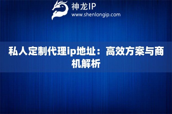 私人定制代理ip地址：高效方案與商機解析