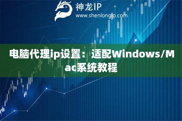 電腦代理ip設置：適配Windows/Mac系統教程