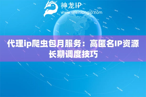 代理ip爬蟲包月服務：高匿名IP資源長期調度技巧