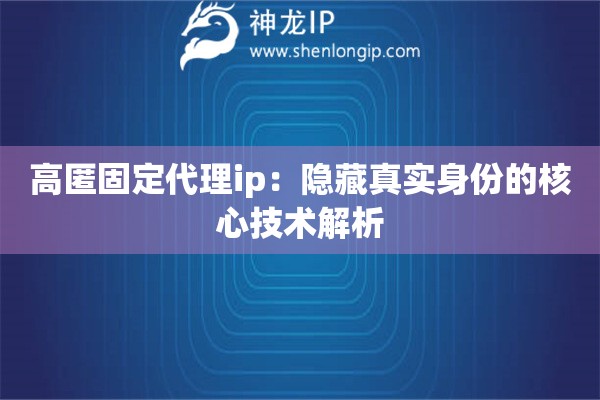 高匿固定代理ip：隱藏真實身份的核心技術解析