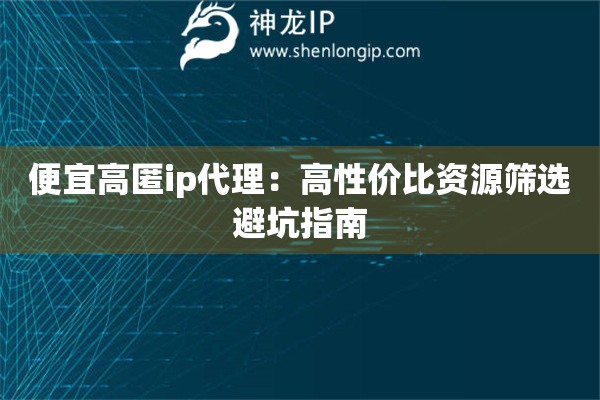 便宜高匿ip代理：高性價比資源篩選避坑指南