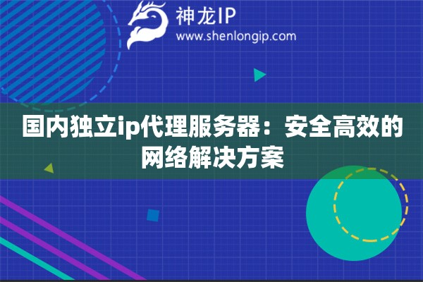 國內獨立ip代理服務器：安全高效的網絡解決方案