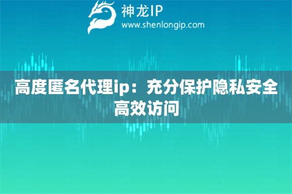 高度匿名代理ip：充分保護隱私安全高效訪問