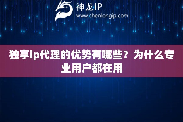 獨享ip代理的優(yōu)勢有哪些？為什么專業(yè)用戶都在用