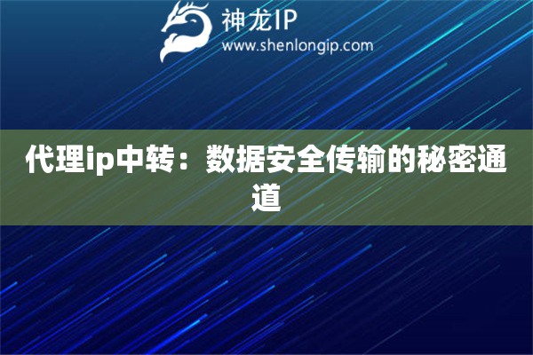 代理ip中轉：數據安全傳輸的秘密通道