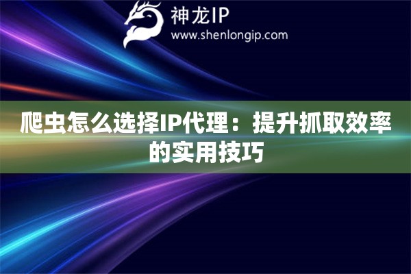 爬蟲怎么選擇IP代理：提升抓取效率的實用技巧