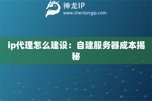 ip代理怎么建設：自建服務器成本揭秘