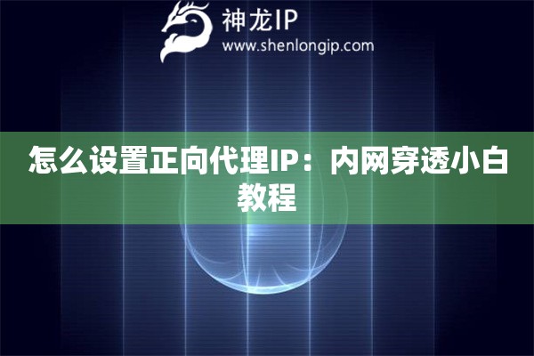 怎么設置正向代理IP：內網穿透小白教程