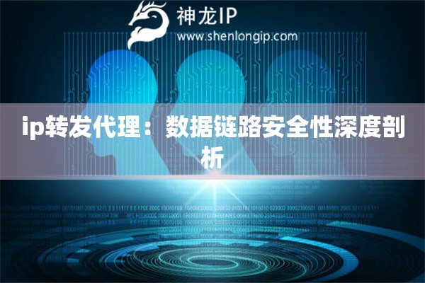 ip轉發代理：數據鏈路安全性深度剖析