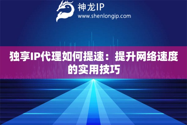獨享IP代理如何提速：提升網絡速度的實用技巧