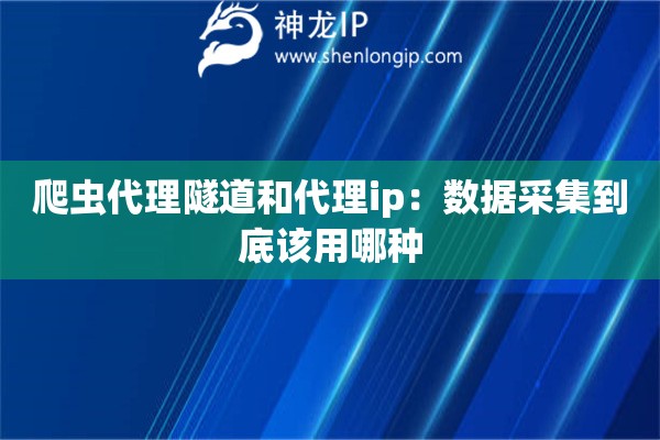 爬蟲代理隧道和代理ip：數據采集到底該用哪種