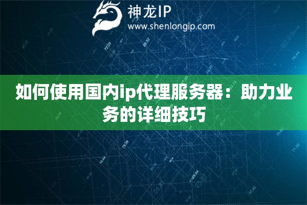 如何使用國內ip代理服務器：助力業務的詳細技巧