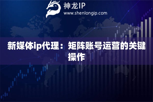 新媒體ip代理：矩陣賬號(hào)運(yùn)營的關(guān)鍵操作