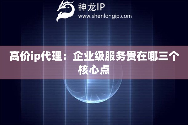 高價(jià)ip代理：企業(yè)級(jí)服務(wù)貴在哪三個(gè)核心點(diǎn)