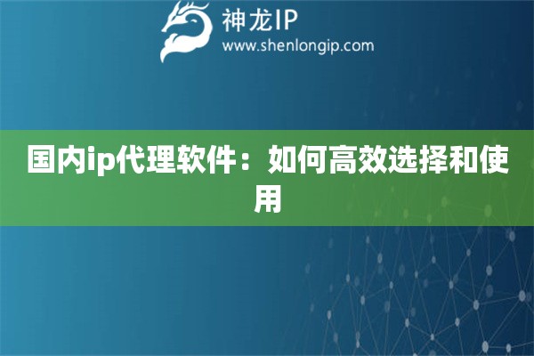國內ip代理軟件：如何高效選擇和使用