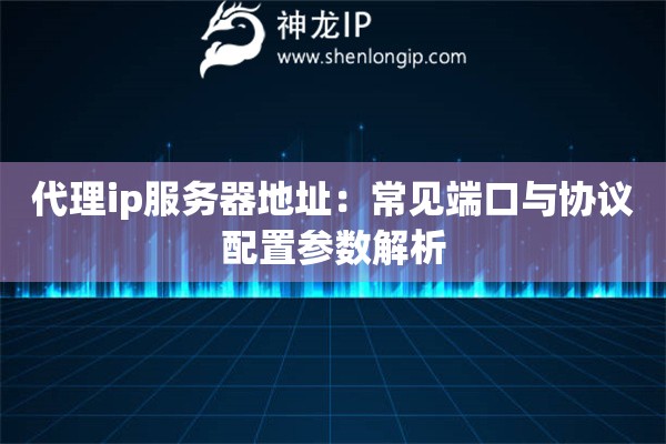 代理ip服務器地址：常見端口與協議配置參數解析