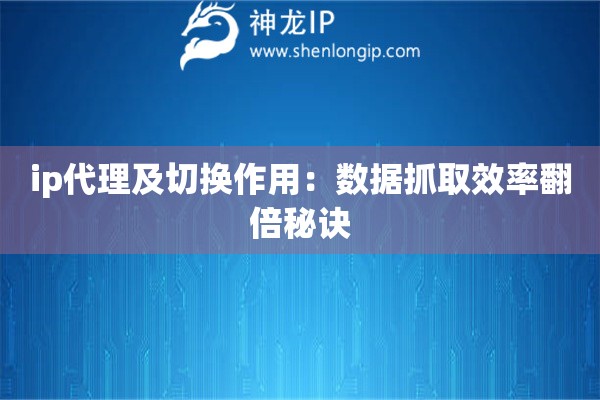 ip代理及切換作用：數據抓取效率翻倍秘訣