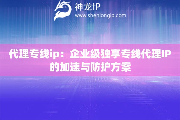 代理專線ip：企業(yè)級獨享專線代理IP的加速與防護方案