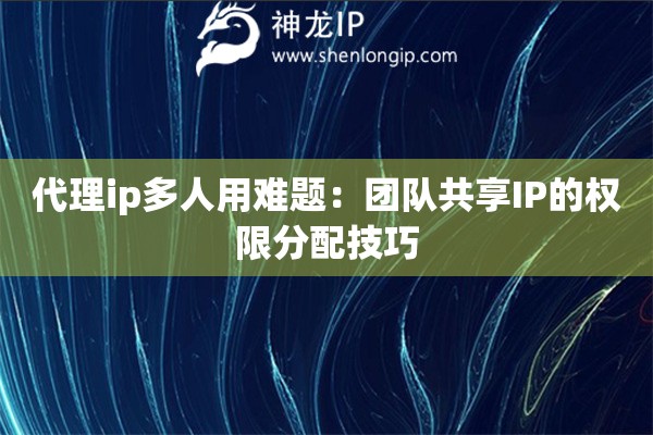 代理ip多人用難題：團(tuán)隊(duì)共享IP的權(quán)限分配技巧