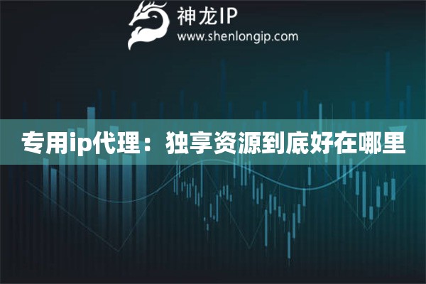 專用ip代理：獨享資源到底好在哪里
