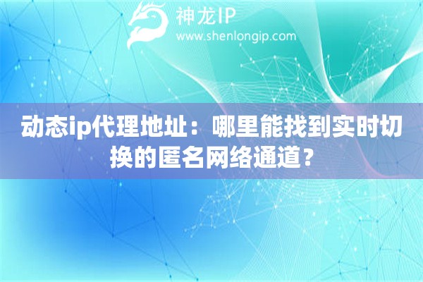 動態ip代理地址：哪里能找到實時切換的匿名網絡通道？