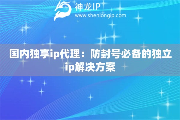 國內獨享ip代理：防封號必備的獨立ip解決方案