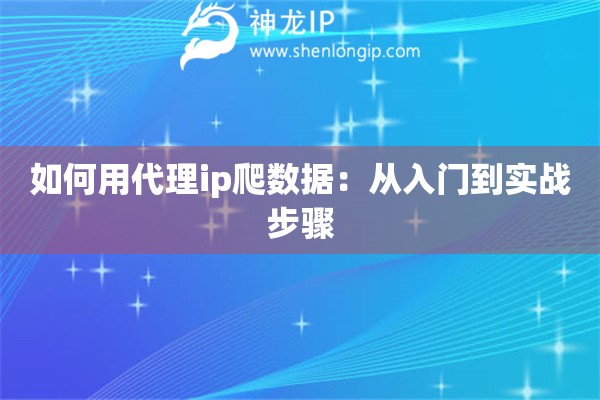 如何用代理ip爬數(shù)據(jù)：從入門到實戰(zhàn)步驟