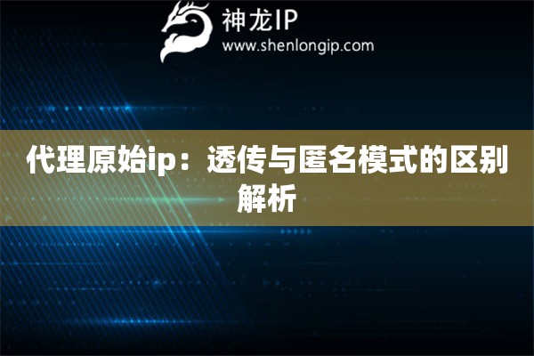 代理原始ip：透傳與匿名模式的區別解析