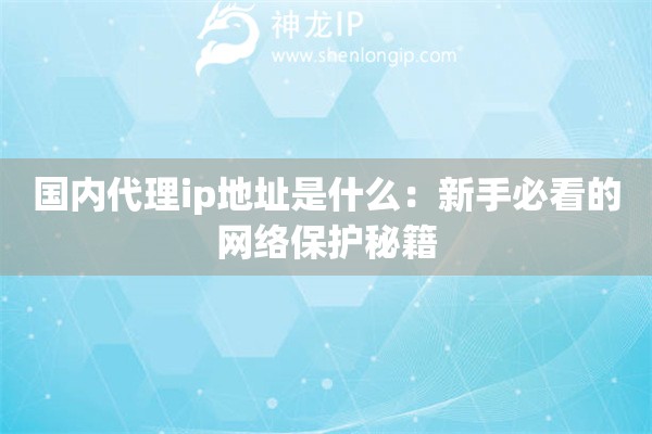 國內代理ip地址是什么：新手必看的網絡保護秘籍