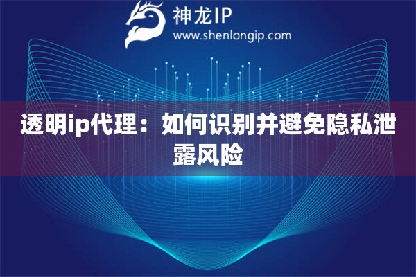 透明ip代理：如何識別并避免隱私泄露風險