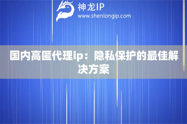 國(guó)內(nèi)高匿代理ip：隱私保護(hù)的最佳解決方案