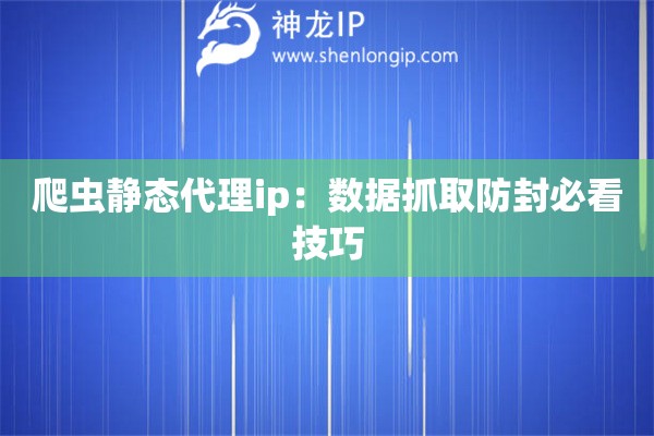 爬蟲(chóng)靜態(tài)代理ip：數(shù)據(jù)抓取防封必看技巧