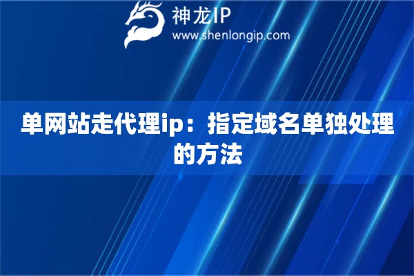 單網站走代理ip：指定域名單獨處理的方法