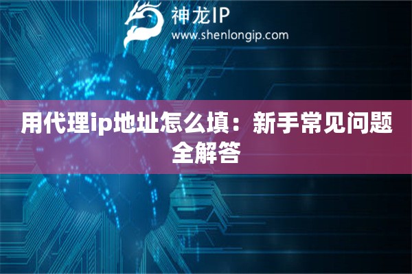 用代理ip地址怎么填：新手常見問題全解答