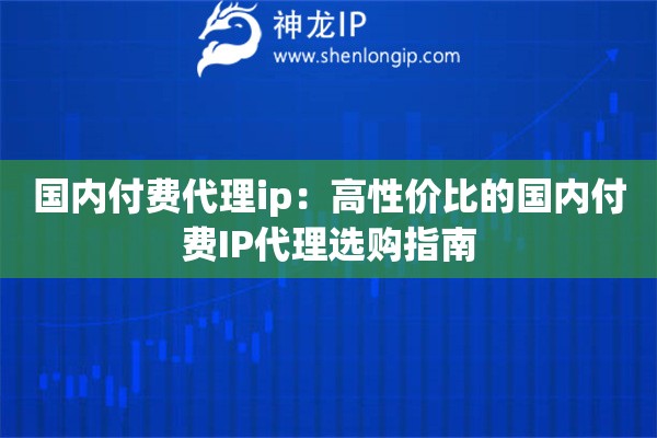 國內付費代理ip：高性價比的國內付費IP代理選購指南
