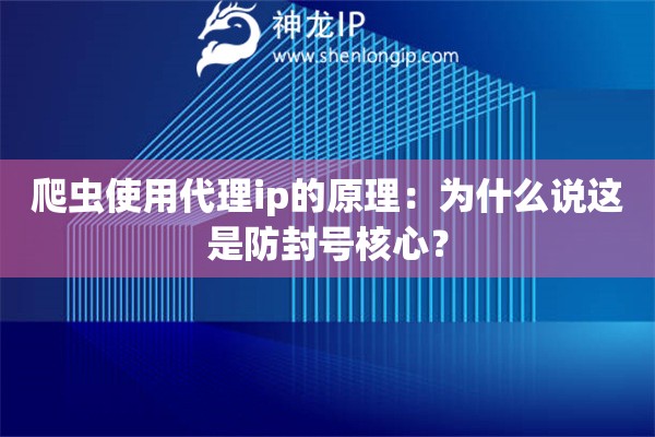 爬蟲使用代理ip的原理：為什么說這是防封號核心？