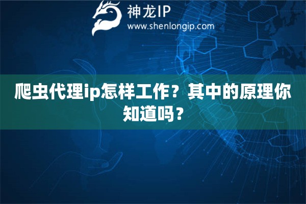 爬蟲代理ip怎樣工作？其中的原理你知道嗎？