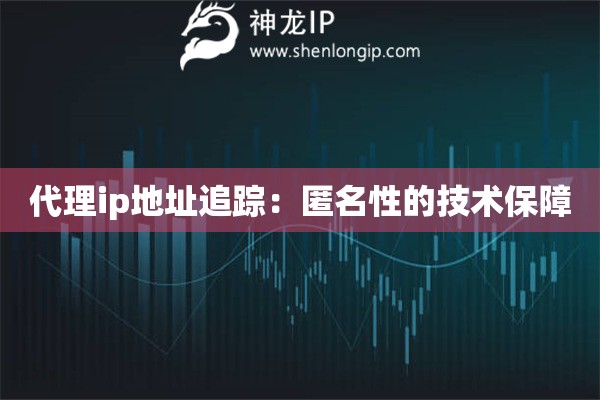 代理ip地址追蹤：匿名性的技術保障