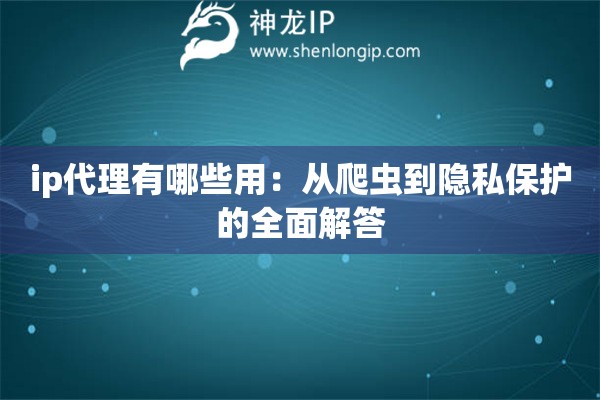 ip代理有哪些用：從爬蟲到隱私保護的全面解答