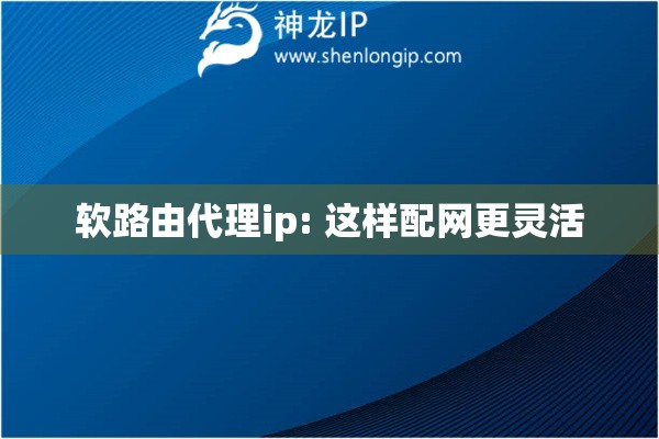 軟路由代理ip: 這樣配網(wǎng)更靈活