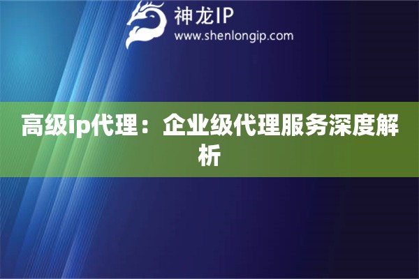 高級ip代理：企業級代理服務深度解析