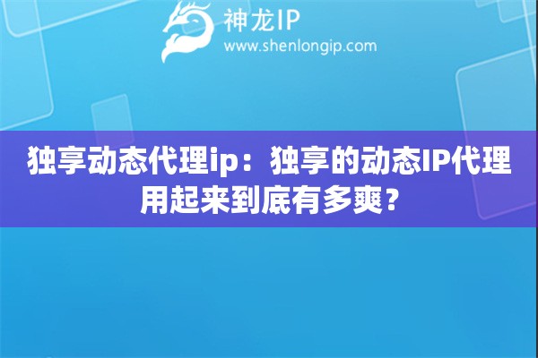 獨(dú)享動態(tài)代理ip：獨(dú)享的動態(tài)IP代理用起來到底有多爽？