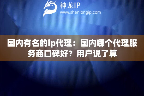 國內有名的ip代理：國內哪個代理服務商口碑好？用戶說了算