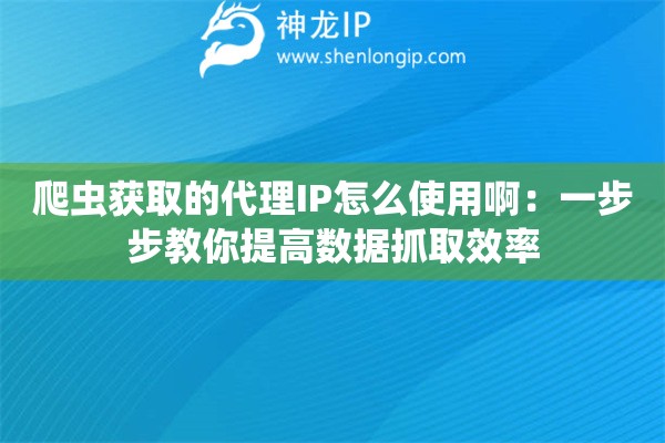 爬蟲獲取的代理IP怎么使用啊：一步步教你提高數(shù)據(jù)抓取效率