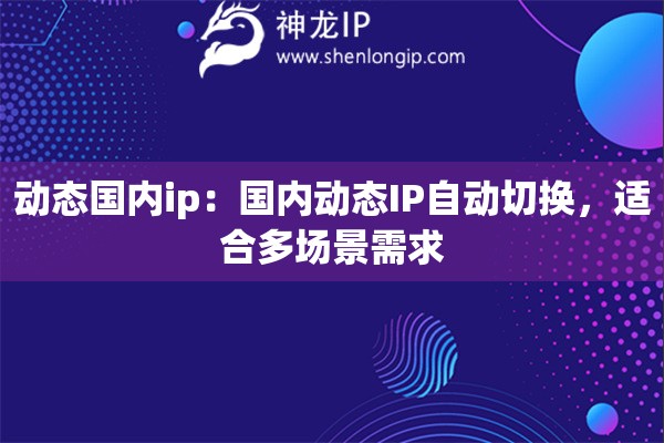 動態(tài)國內(nèi)ip：國內(nèi)動態(tài)IP自動切換，適合多場景需求