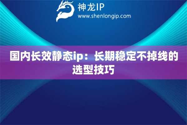 國內長效靜態ip：長期穩定不掉線的選型技巧
