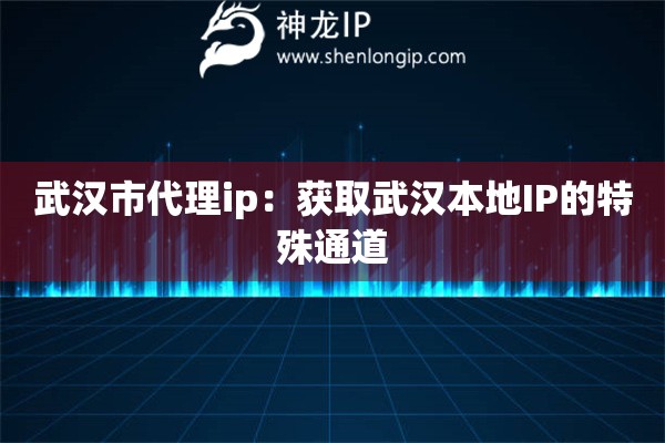 武漢市代理ip：獲取武漢本地IP的特殊通道