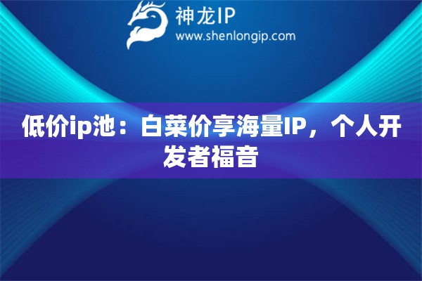低價ip池：白菜價享海量IP，個人開發者福音