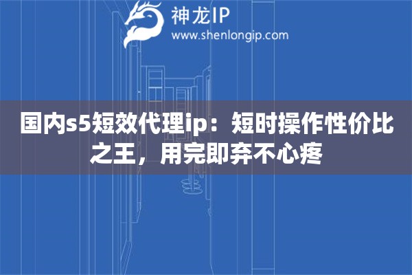 國內s5短效代理ip：短時操作性價比之王，用完即棄不心疼