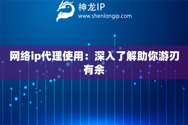 網絡ip代理使用：深入了解助你游刃有余